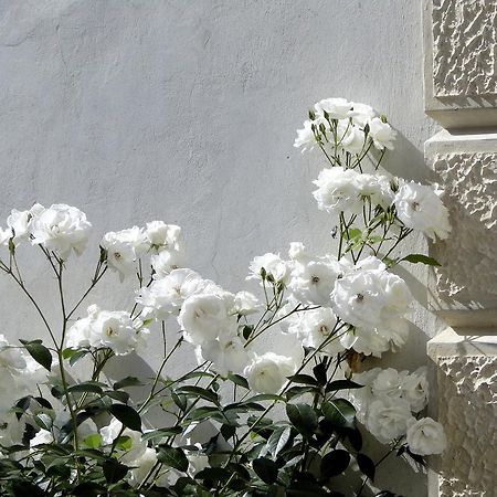 Villa Barberina Valdobbiadene Bagian luar foto